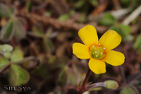 @AJJ^o~ iJ^o~ȁj@2013-03-24@