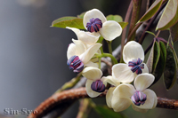 @APr iAPrȁj@2013-03-30@