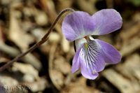 @iKo^`c{X~ iX~ȁj@2013-04-09@