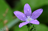 @LLE\E iLLEȁj@2013-06-08@
