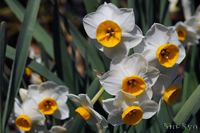 @jzXCZ iqKoiȁj@2014-02-03@