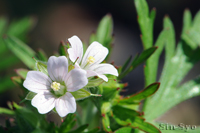 @AJtE itE\Eȁj@2014-05-03@