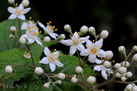 @}oEcM iLmV^ȁj@2014-05-11@