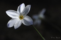 @nij iȁj@2015-04-17@