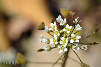 @iYi iAuiȁj@2015-03-13@