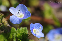 @IICkmtO iS}mnOTȁj@2015-03-19@
