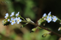 @LEOT iTLȁj@2015-03-28@