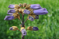 @L iS}mnOTȁj@2015-04-24@