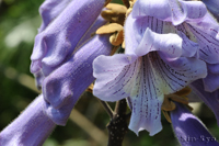 @L iS}mnOTȁj@2015-04-27@