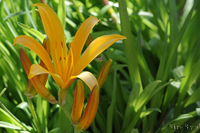 @qJ]E iȁj@2015-05-08@