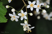 @}oEcM iLmV^ȁj@2015-05-18@