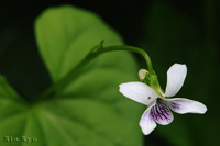 @c{X~ iX~ȁj@2015-05-31@