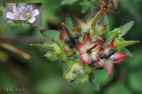 @AJtE itE\Eȁj@2015-06-06@